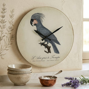 Great Black Palm Cockatoo, Probosciger aterrimus Large Clock