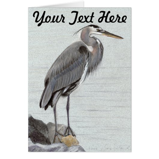 Great Blue Heron (Front)