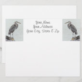 Great Blue Heron (Front/Back)