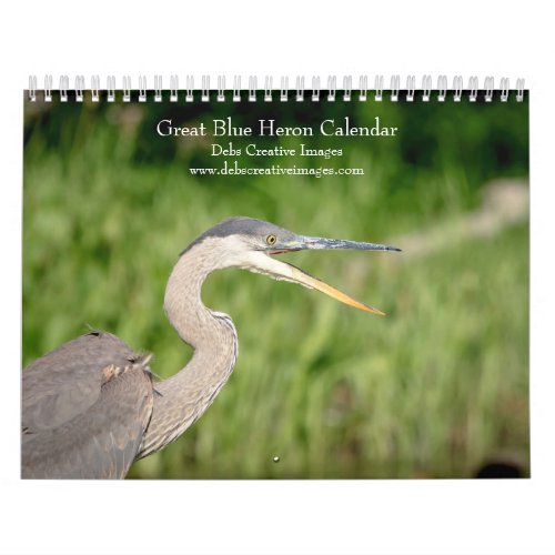 Great Blue Heron 2024 Calendar