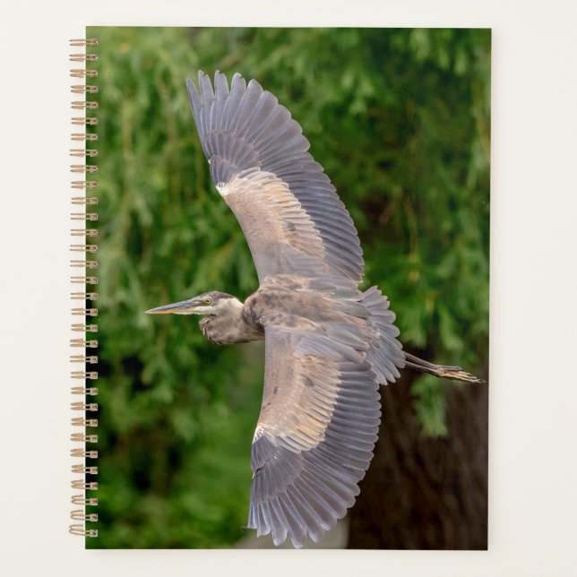 Great Blue Heron 2026 Planner | Wildlife & Nature (Front)