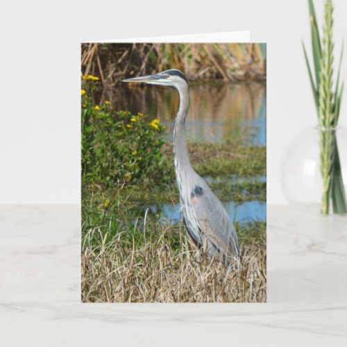 Great Blue Heron 2 Greeting Card