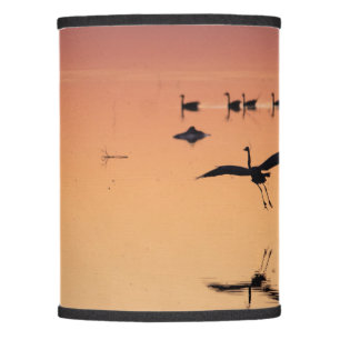 Great Blue Heron 2 Lamp Shade