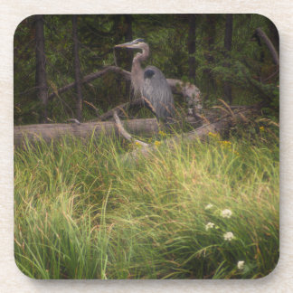 Great Blue Heron 8917 Beverage Coaster