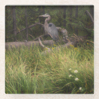 Great Blue Heron 8917 Glass Coaster