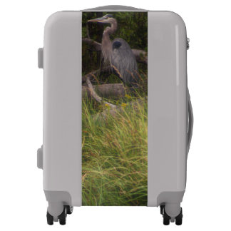 Great Blue Heron 8917 Luggage