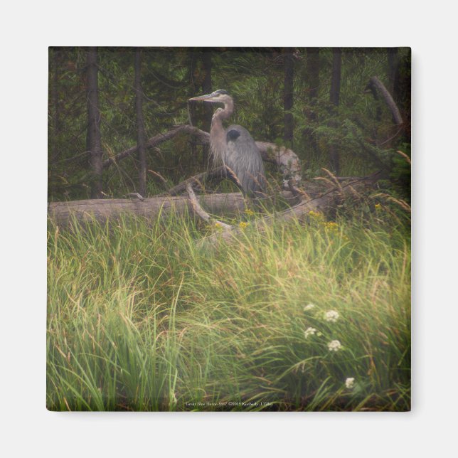 Great Blue Heron 8917 Magnet (Front)