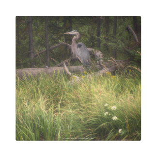 Great Blue Heron 8917 Metal Print