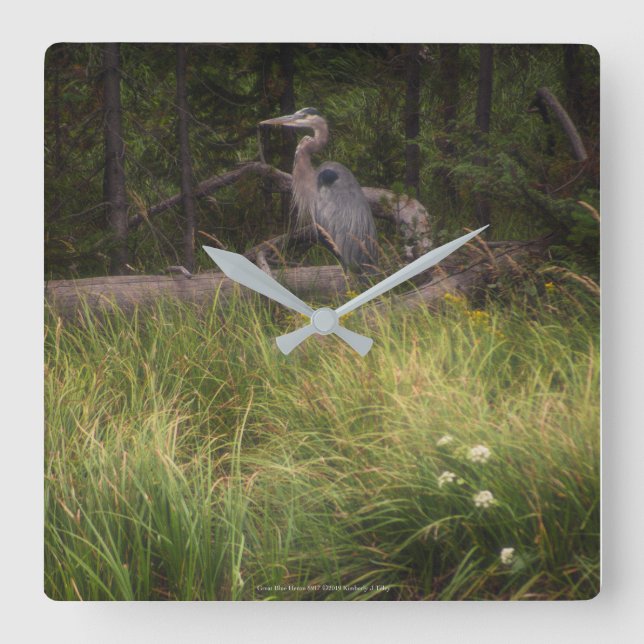 Great Blue Heron 8917 Square Wall Clock (Front)