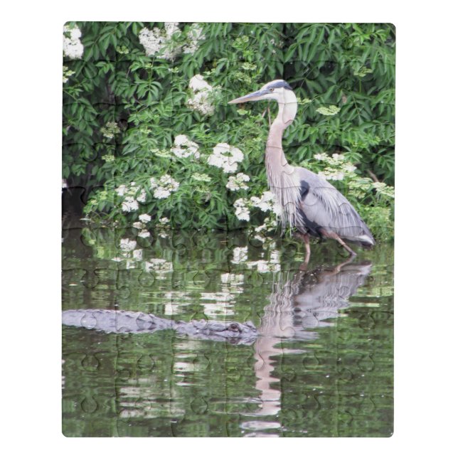 Great Blue Heron and Alligator -  Acrylic Puzzle (Puzzle Vertical)