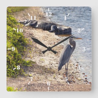 Great blue Heron and alligator at the lake
