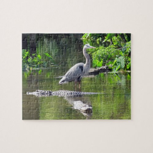 Great Blue Heron and Alligators Puzzle