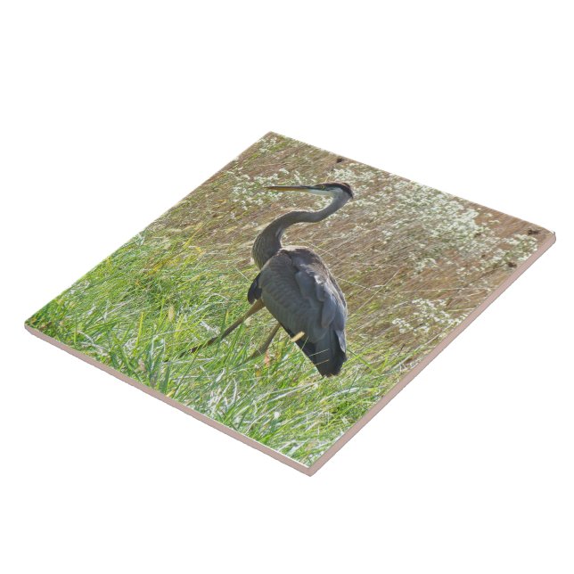Great Blue Heron - Ardea herodias - #2 Ceramic Tile (Side)