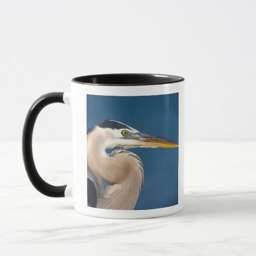Great Blue Heron Ardea herodias USA Florida Mug