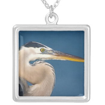 Great Blue Heron (ardea Herodias). Usa  Florida  Silver Plated Necklace by theworldofanimals at Zazzle