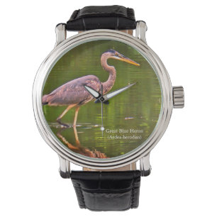 Great Blue Heron (Ardea herodias) Watch