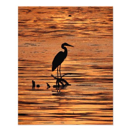 Great Blue Heron at Sunset Photo Print