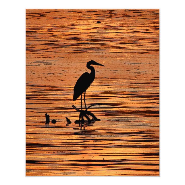 Great Blue Heron at Sunset Photo Print (Front)