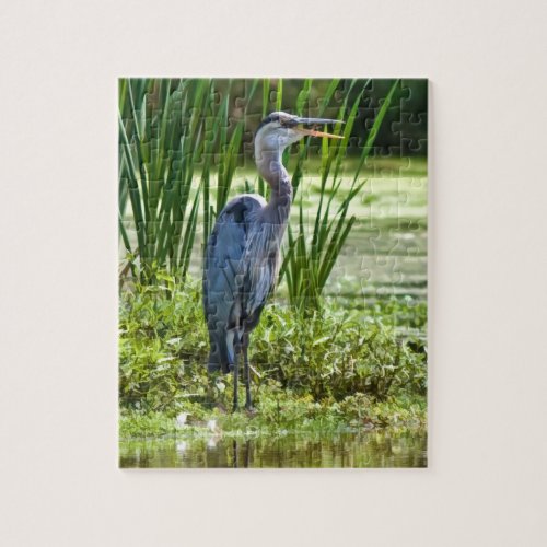 Great Blue Heron at the Pond Puzzle