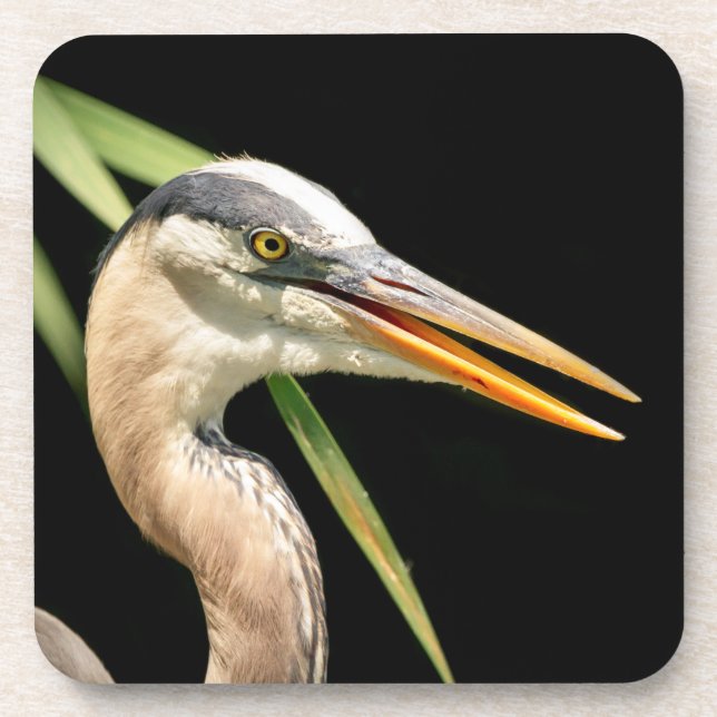 Great Blue Heron Beverage Coaster (Front)