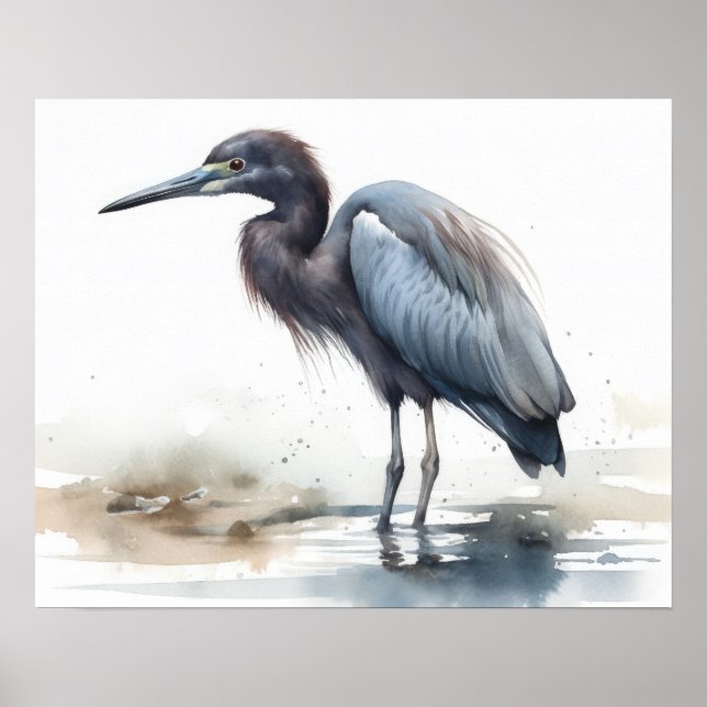 Great Blue Heron Bird Art Print Poster (Front)
