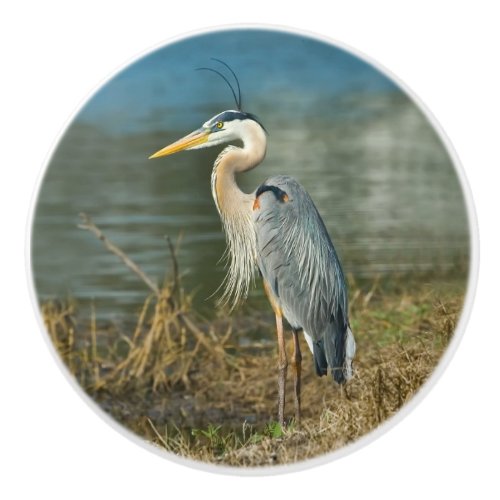 Great Blue Heron Bird at the Pond Ceramic Knob