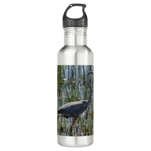 Great Blue Heron Bird Closeup Marsh Stainless Steel Water Bottle