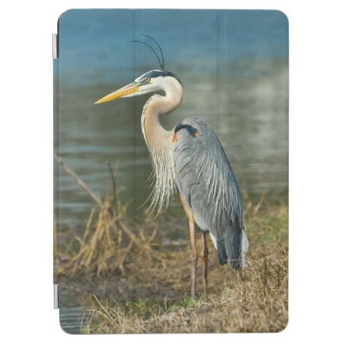 Great Blue Heron Bird iPad Air Cover