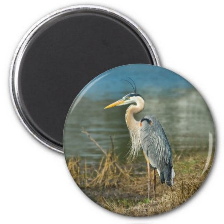Great Blue Heron Bird Magnet