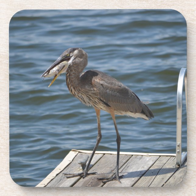 Great Blue Heron Bird Nature Wildlife Photography Beverage Coaster (Front)