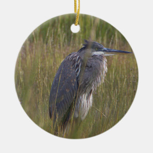 Great Blue Heron Bird Ornament