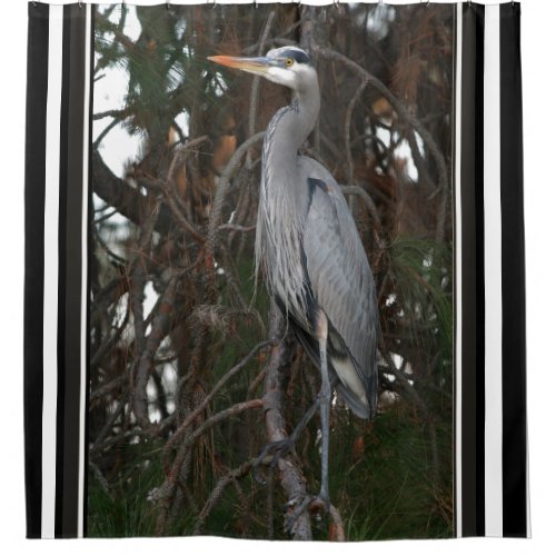Great Blue Heron Bird Wildlife Animals Curtain