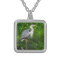 Great Blue Heron Bird Wildlife Photo