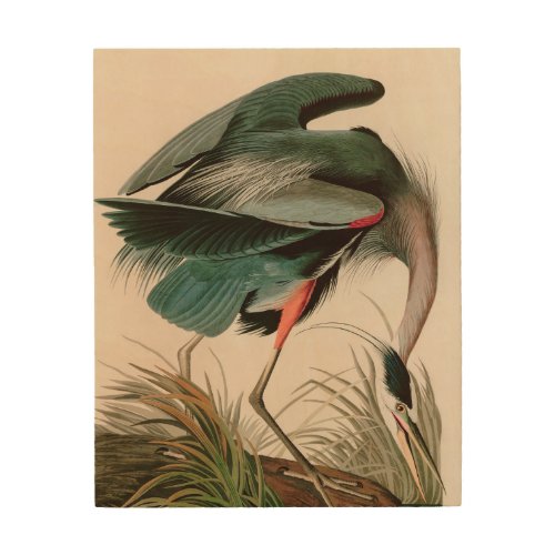 Great Blue Heron Birds of America Audubon Print