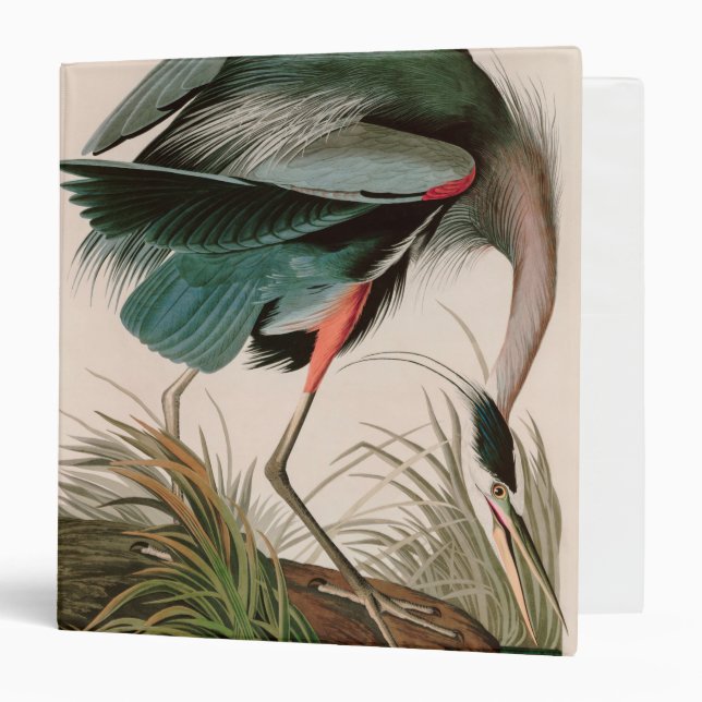 Great Blue Heron Birds of America Audubon Print 3 Ring Binder (Front/Inside)