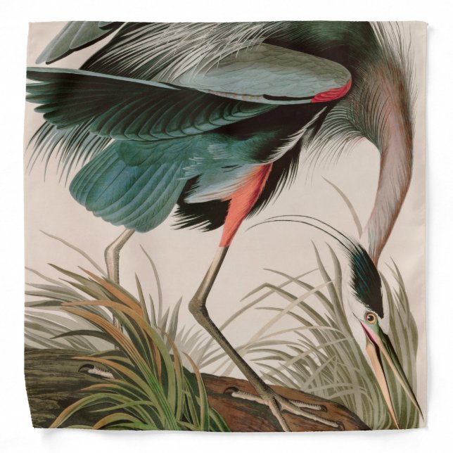Great Blue Heron Birds of America Audubon Print Bandana (Front)