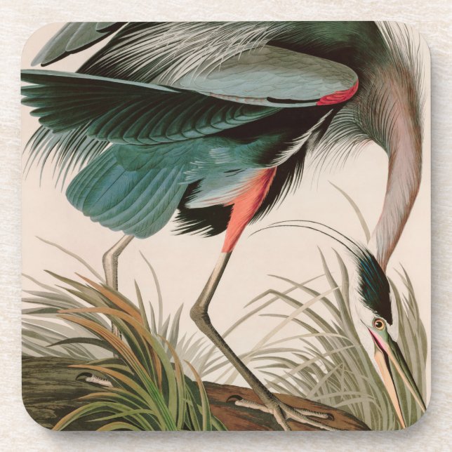 Great Blue Heron Birds of America Audubon Print Beverage Coaster (Front)