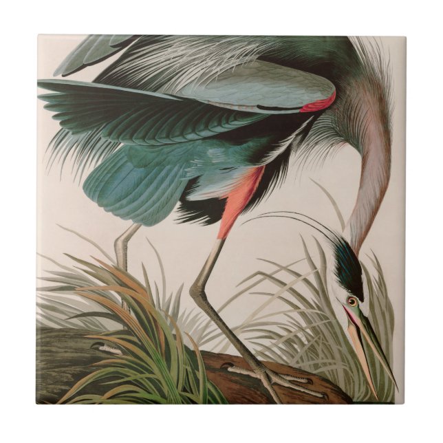 Great Blue Heron Birds of America Audubon Print Ceramic Tile (Front)