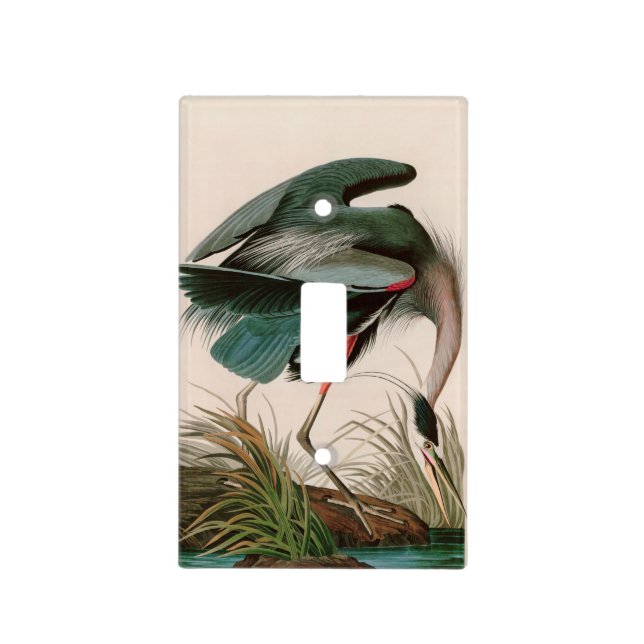 Great Blue Heron Birds of America Audubon Print Light Switch Cover (Front)
