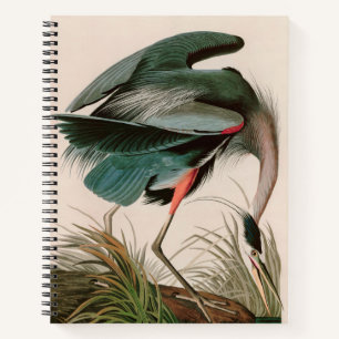 Great Blue Heron Birds of America Audubon Print Notebook