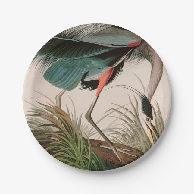 Great Blue Heron Birds of America Audubon Print Paper Plates (Front)