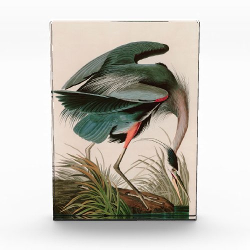 Great Blue Heron Birds of America Audubon Print Photo Block