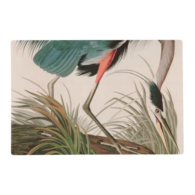 Great Blue Heron Birds of America Audubon Print Placemat (Front)