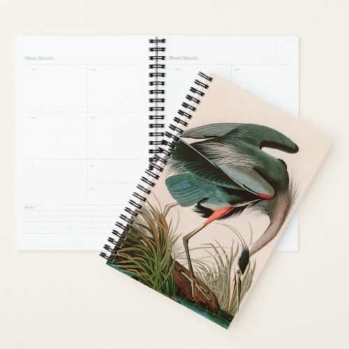 Great Blue Heron Birds of America Audubon Print Planner