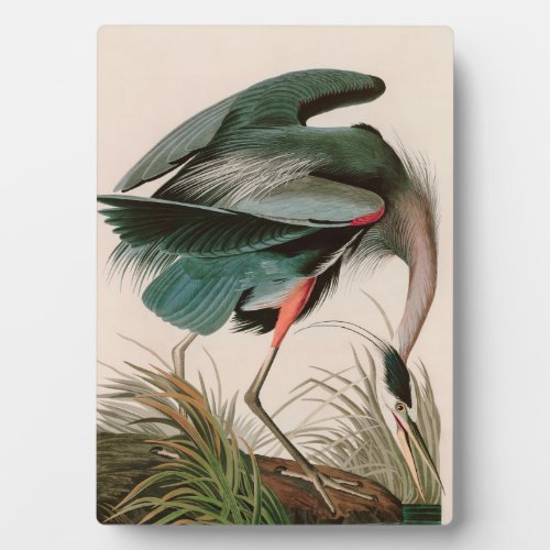 Great Blue Heron Birds of America Audubon Print Plaque