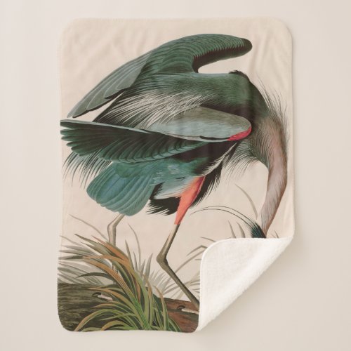 Great Blue Heron Birds of America Audubon Print Sherpa Blanket