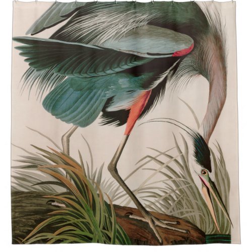 Great Blue Heron Birds of America Audubon Print Shower Curtain