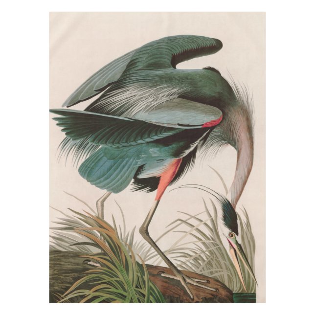 Great Blue Heron Birds of America Audubon Print Tablecloth (Front)