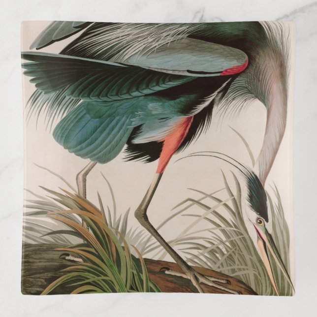 Great Blue Heron Birds of America Audubon Print Trinket Tray (Front)