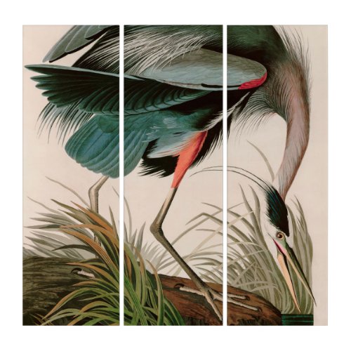 Great Blue Heron Birds of America Audubon Print Triptych